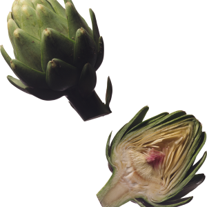 Artichoke cut PNG image