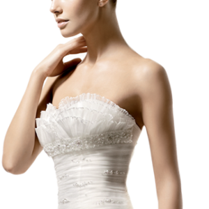 Bride PNG