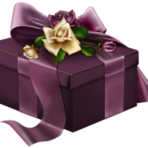 Gift box PNG
