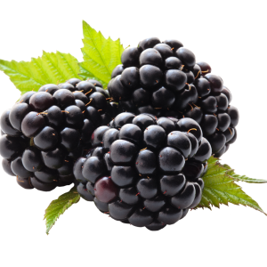 Blackberry PNG
