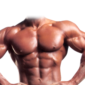 Bodybuilding PNG