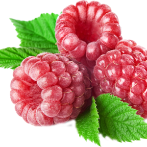 Rraspberry PNG image