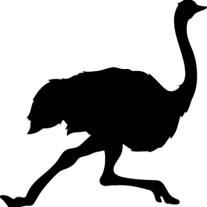 Ostrich PNG