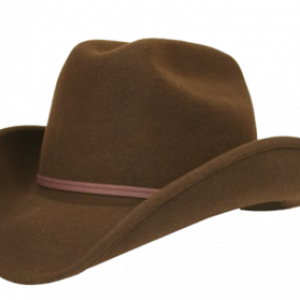 Cowboy hat PNG