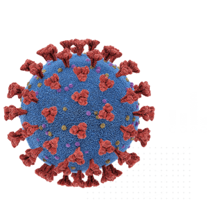 Coronavirus PNG
