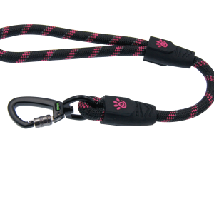 Leash PNG