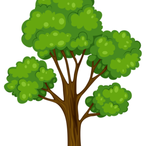 tree PNG