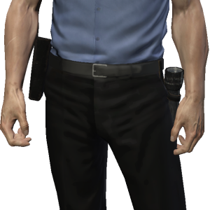 Guard, security PNG