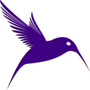 Hummingbird PNG