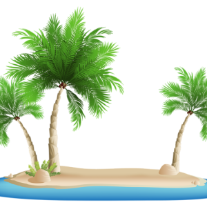 Palm tree PNG