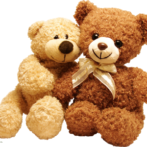 toys bears PNG image