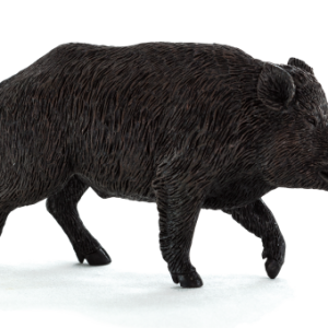 Boar PNG