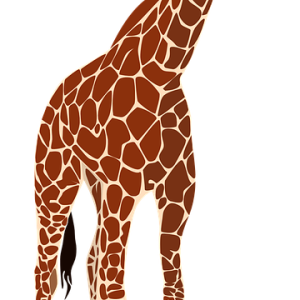 Giraffe PNG