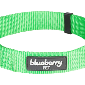 Dog collar PNG