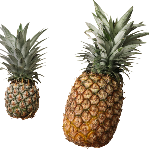 Pineapple PNG image, free download
