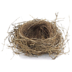 Nest PNG
