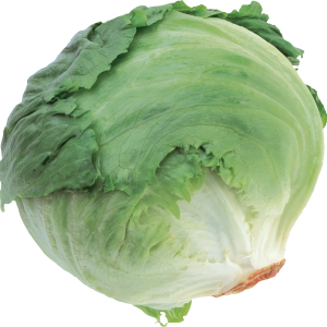 Cabbage PNG
