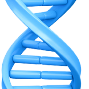 DNA PNG