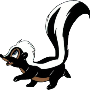 Skunk PNG