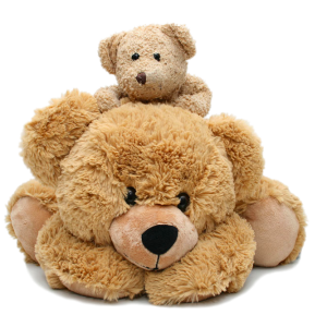 Teddy bear PNG