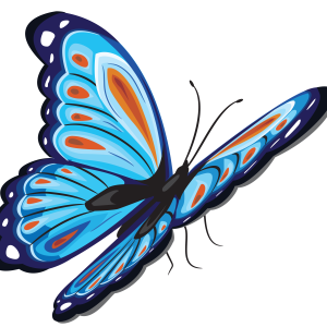 Butterfly PNG blue
