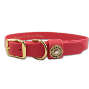Dog collar PNG