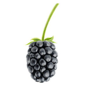 Blackberry PNG