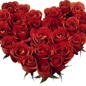 Heart PNG