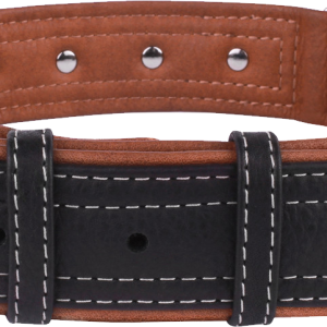 Dog collar PNG