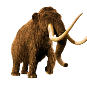 Mammoth PNG