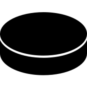Hockey puck PNG