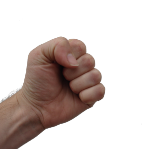 Fist PNG