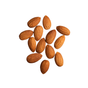 Almond PNG