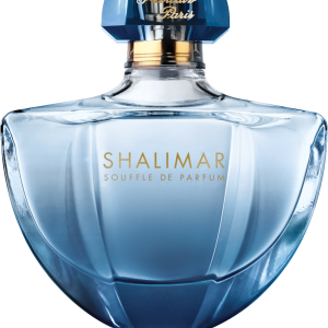 Perfume PNG image