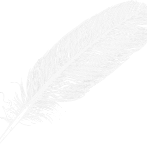 Feather PNG