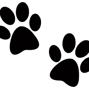 Paw PNG