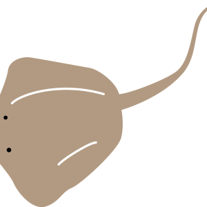 Stingray PNG