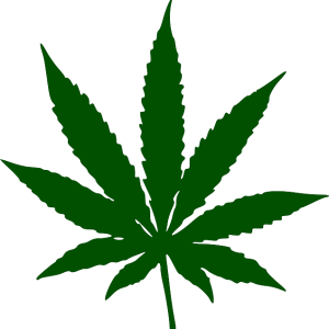 Cannabis PNG