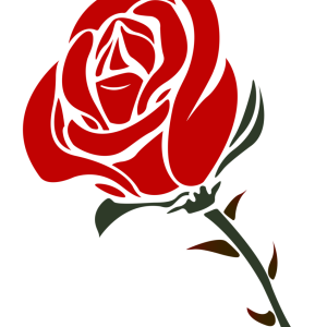 Rose PNG