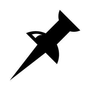 Pin PNG