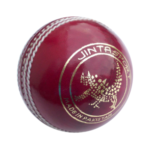 Cricket PNG