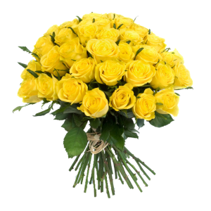 Bouquet flowers PNG