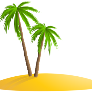 Palm tree PNG