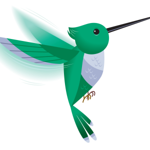 Hummingbird PNG