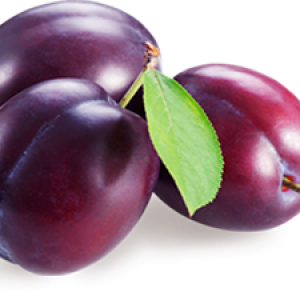 Plum PNG image