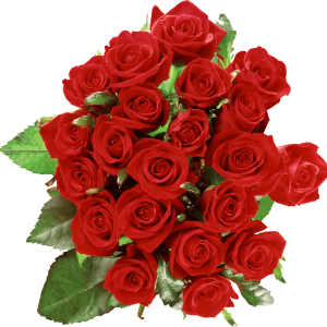 Rose PNG