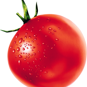 Tomato PNG