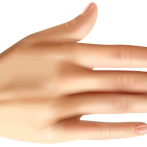 hand PNG