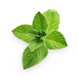 Pepermint PNG
