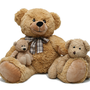 Teddy bear PNG